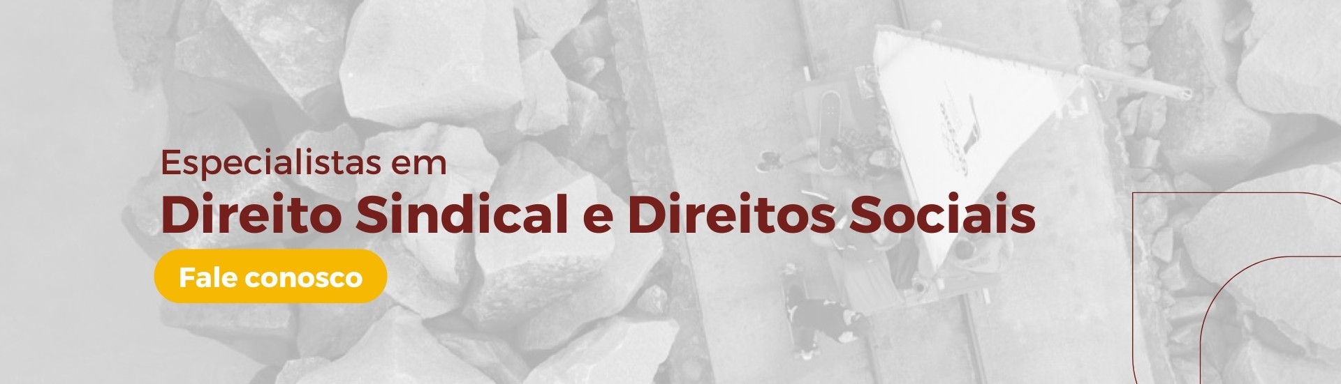Especialistas